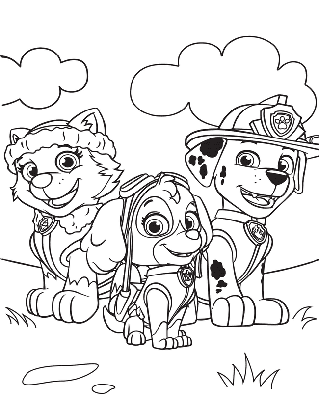 patrulha canina para colorir e imprimir 