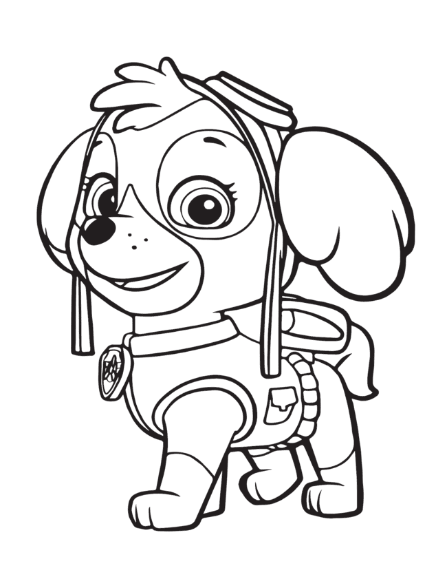 patrulha canina para colorir sky