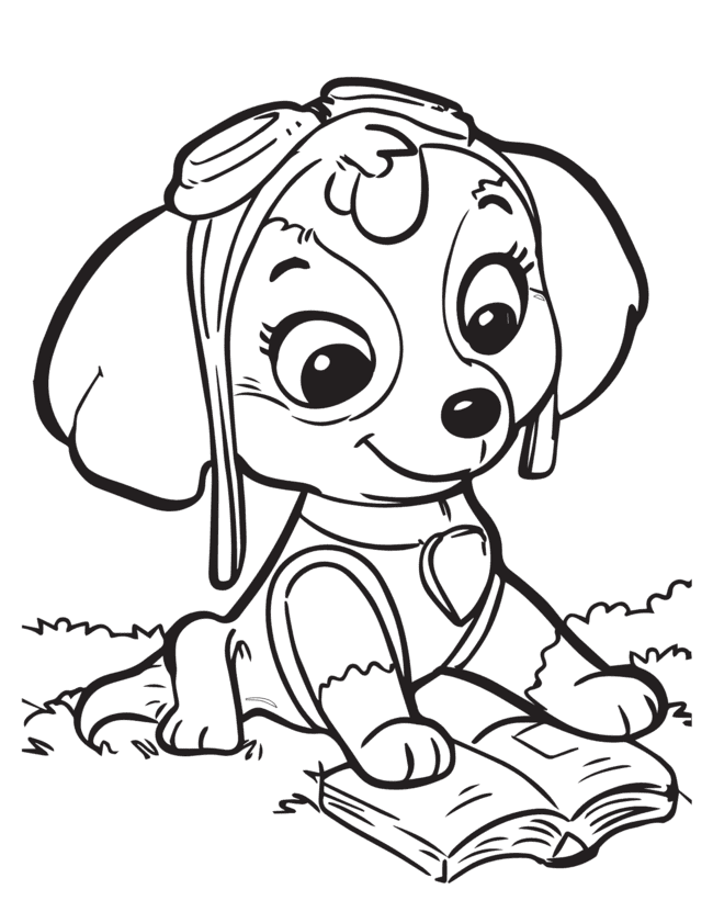 patrulha canina para colorir sky