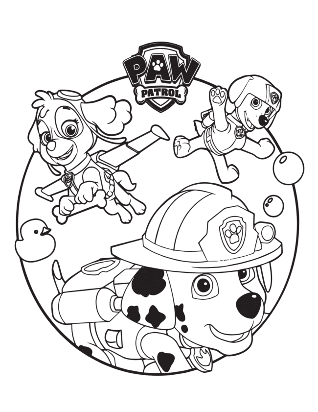 patrulha canina skye para colorir 