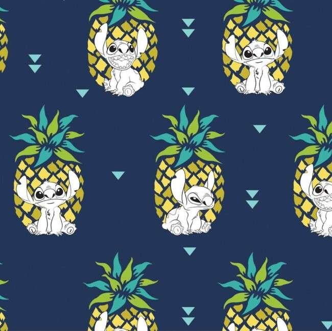 Stitch e o Abacaxi havaiano PNG