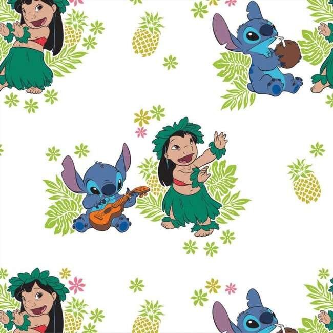 Folhas e lilo e Stitch PNG para capa de caderno
