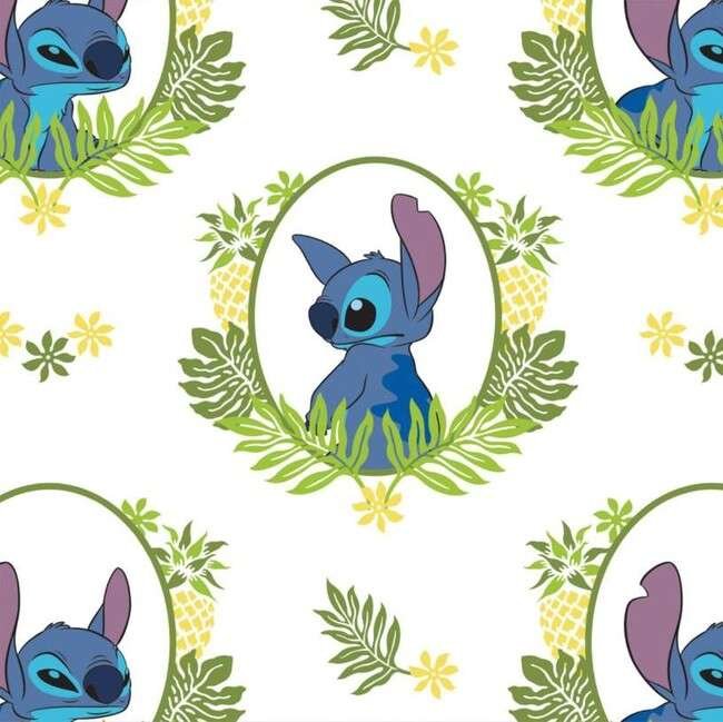 Folhas e Flores e Stitch na moldura de foto PNG