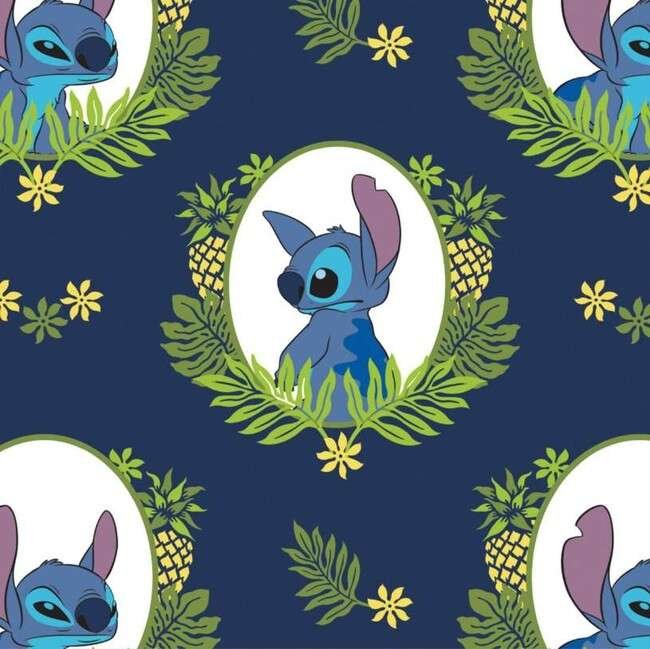 STITCH FUNDO AZUL MOLDURA HAVAIANA PNG