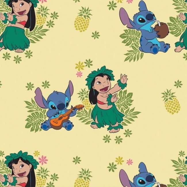 tema havaiano do lilo e stitch PNG
