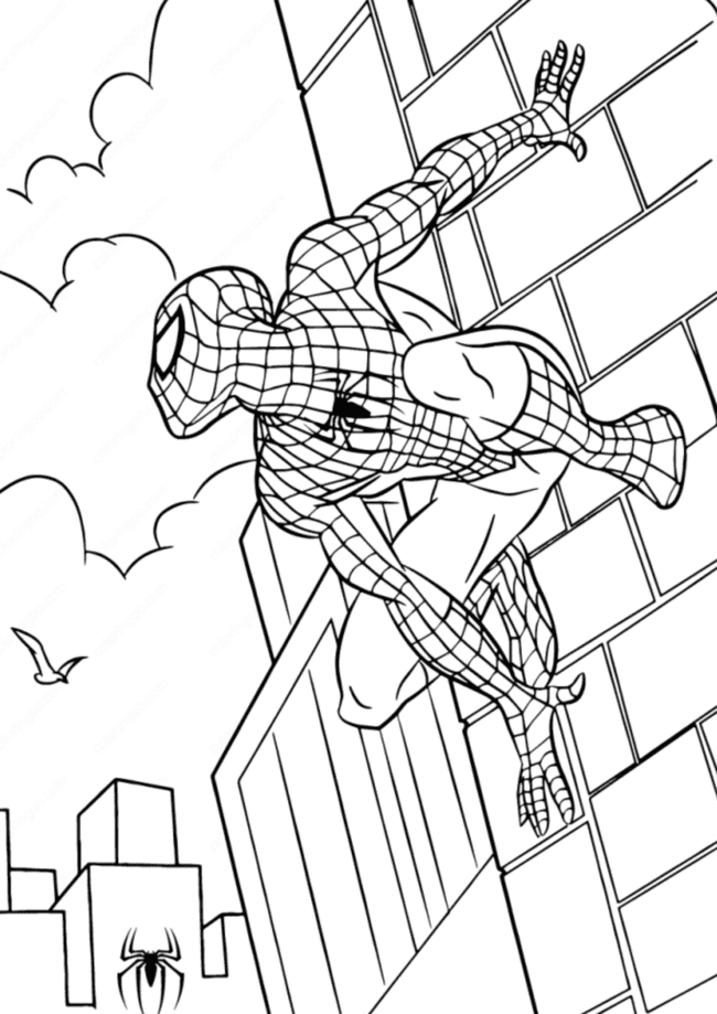desenho do homem-aranha infantil para colorir