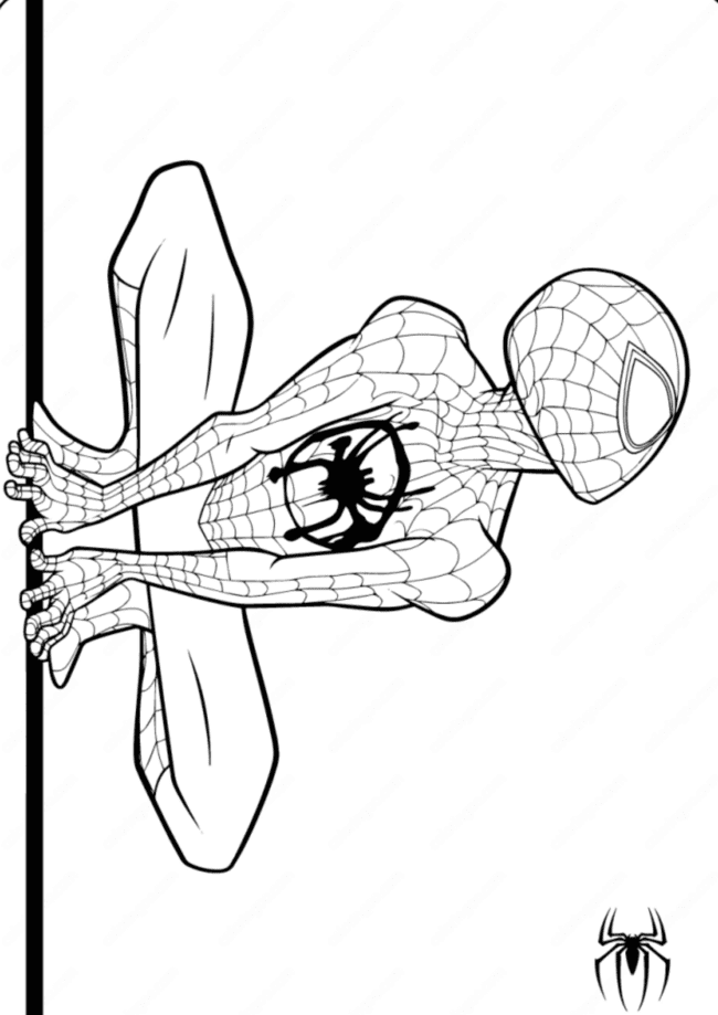 Livro Homem aranha para colorir